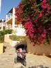 Agios Nikolaos